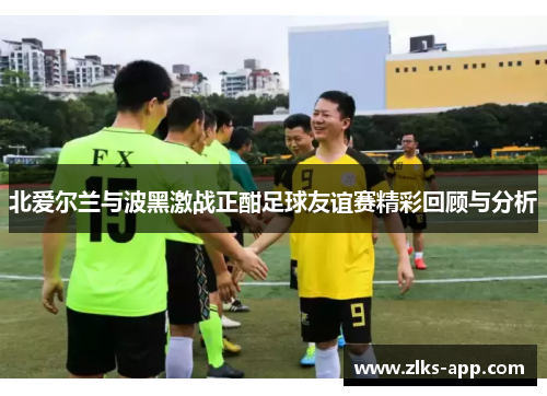 北爱尔兰与波黑激战正酣足球友谊赛精彩回顾与分析